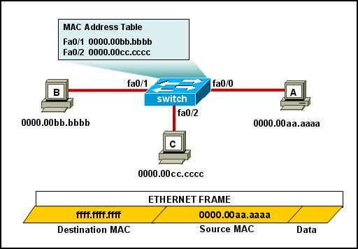 Customized 100-101 Lab Simulation