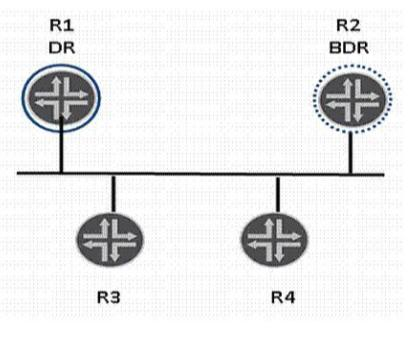 JN0-682 Online Tests | Sns-Brigh10