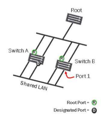 Fresh JN0-231 Dumps