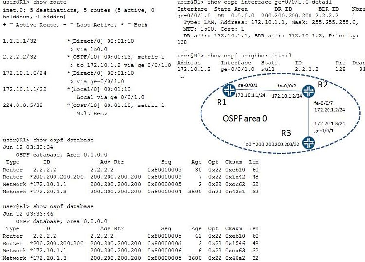 Accurate JN0-250 Study Material